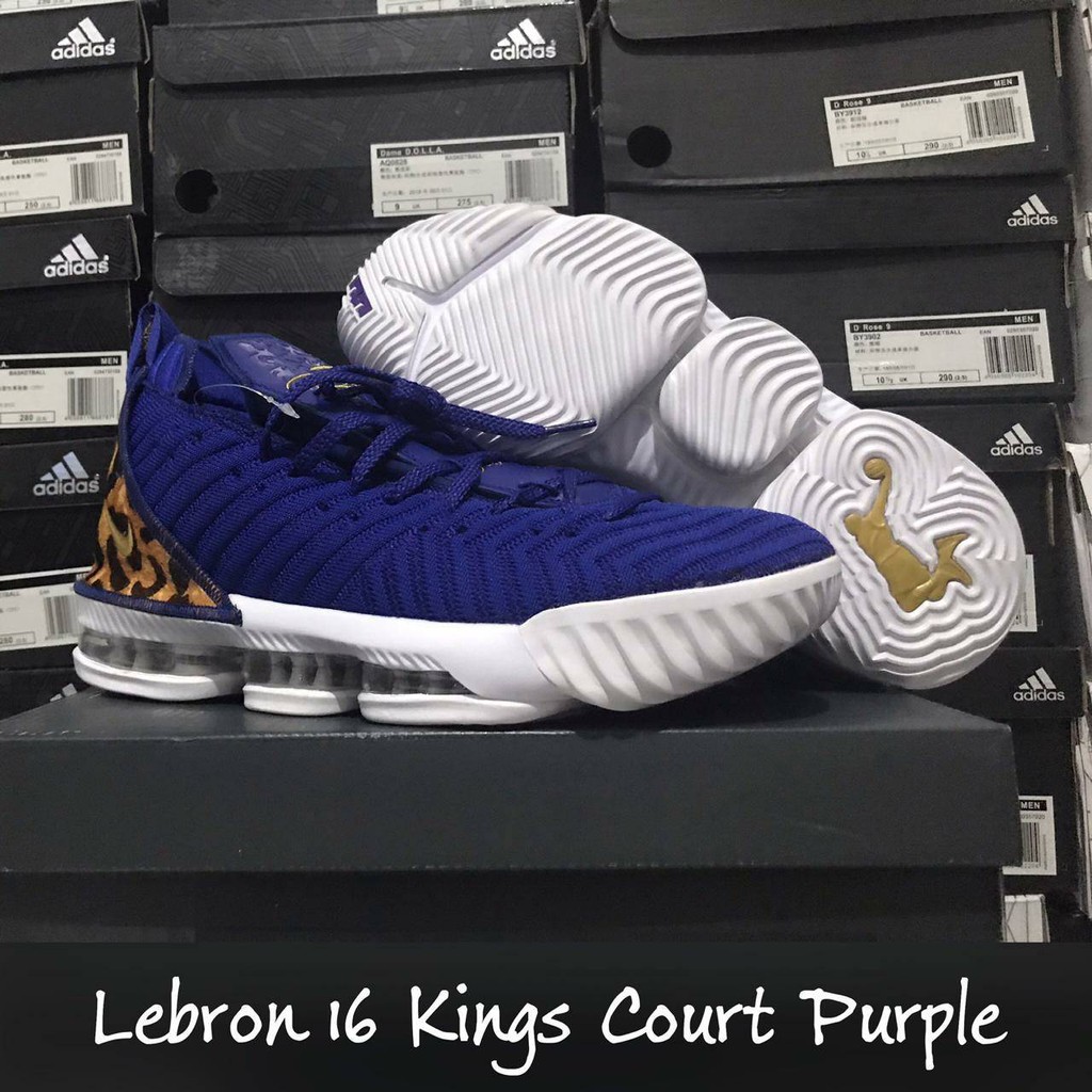 lebron 16 kings court