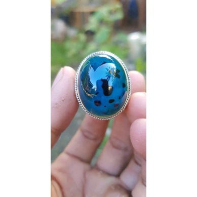 BACAN TOTOL UKURAN JUMBO MUMBUL