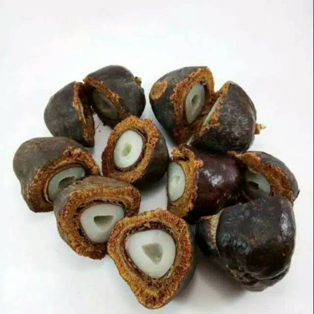 

Buah Zuriat