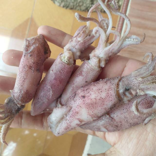 

Cumi Asin Jumbo 5 cm Kering Gurih 1kg