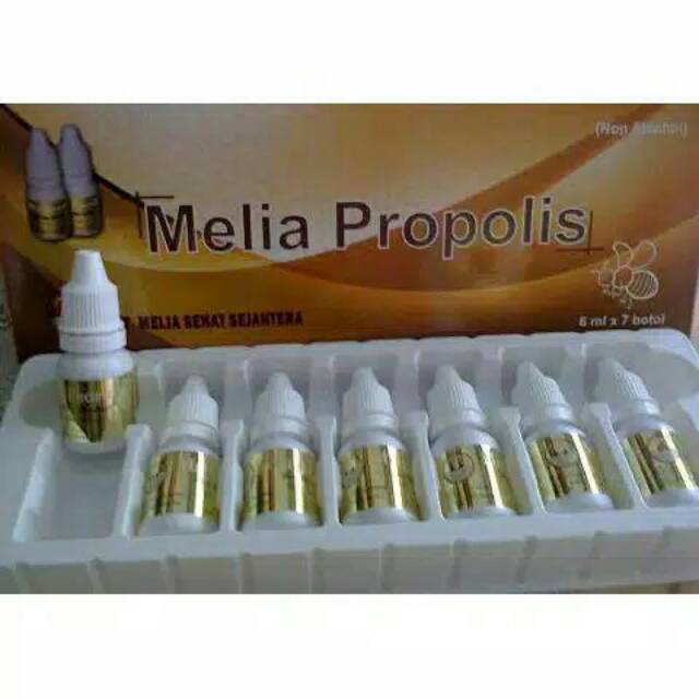 MELIA PROPOLIS ASLI