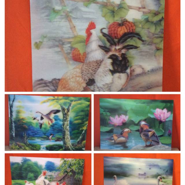 

Gambar 5 dimensi seri itik