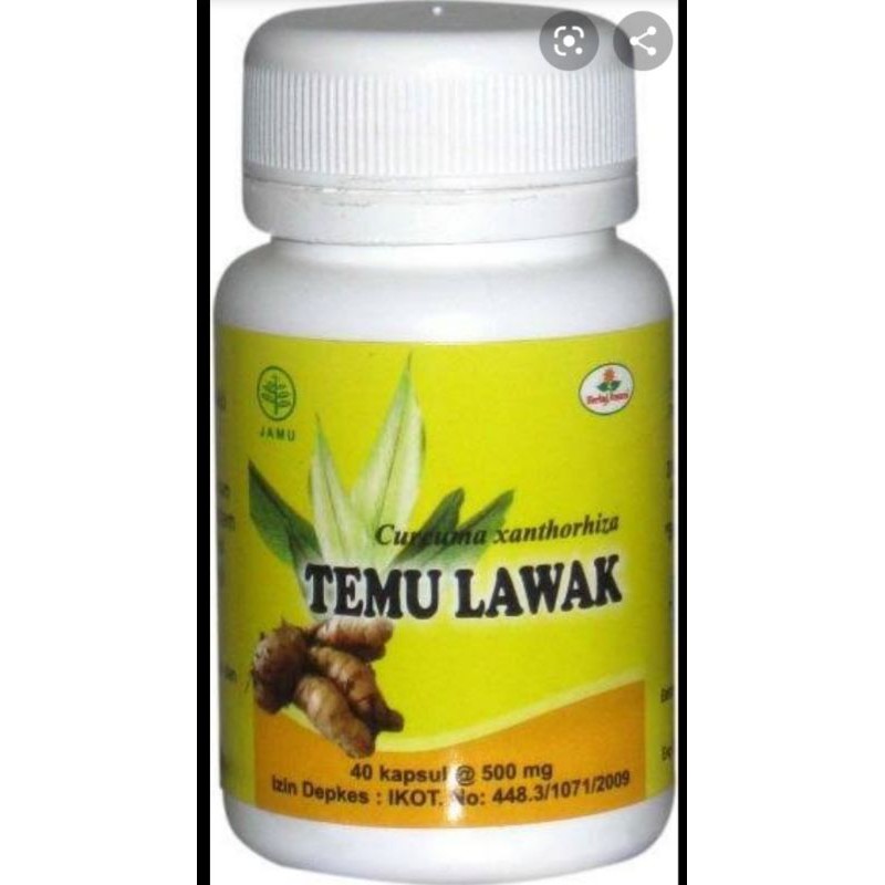 

TEMULAWAK(herbal penambah nafsu makan)