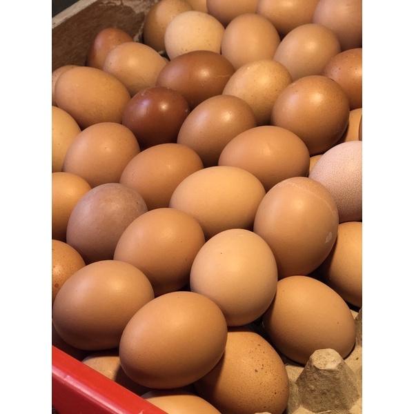 

Telor ayam negri 1kg