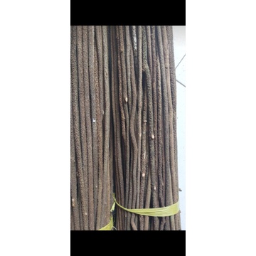 Tangkringan Burung Pleci Konin Kolibri Ciblek kayu asem Bali Kasar