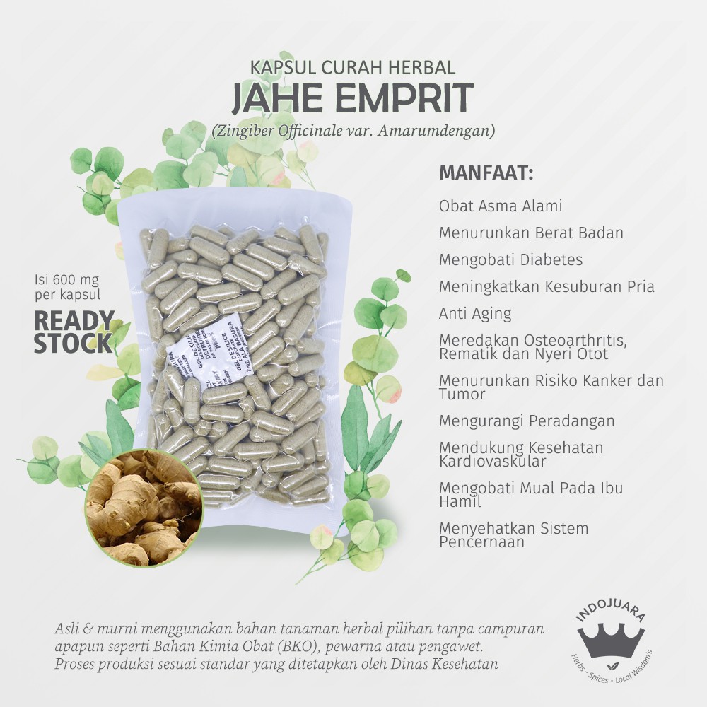 

JAHE EMPRIT 200 Kapsul Curah Herbal Asma Osteoarthritis Kardiovaskular Flu