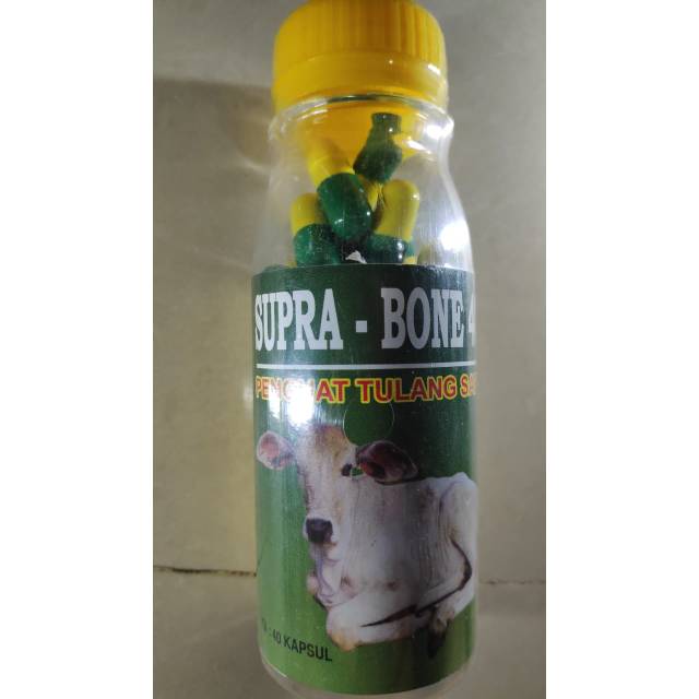 Supra-Bone ~obat penguat tulang sapi yang lumpuh~