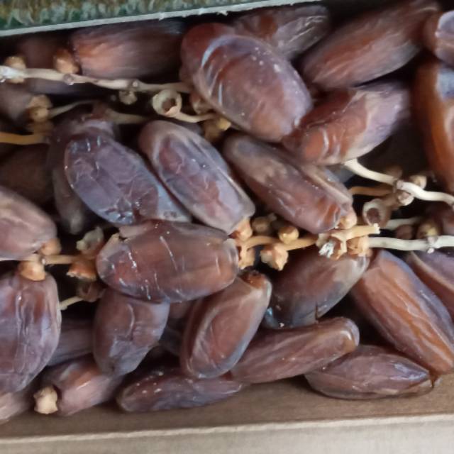 

Kurma Palm Frutt