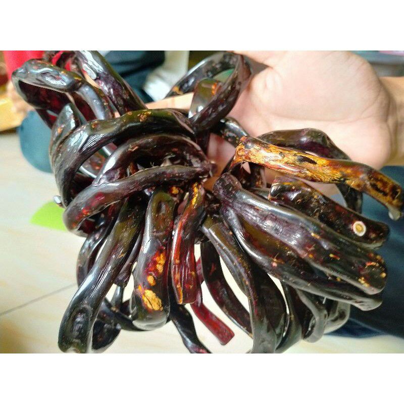 GELANG AKAR BAHAR MERAH Size Sedang