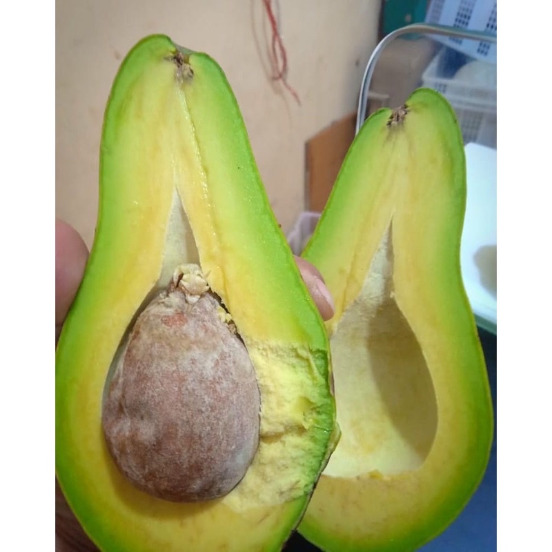

Alpukat Mentega Super