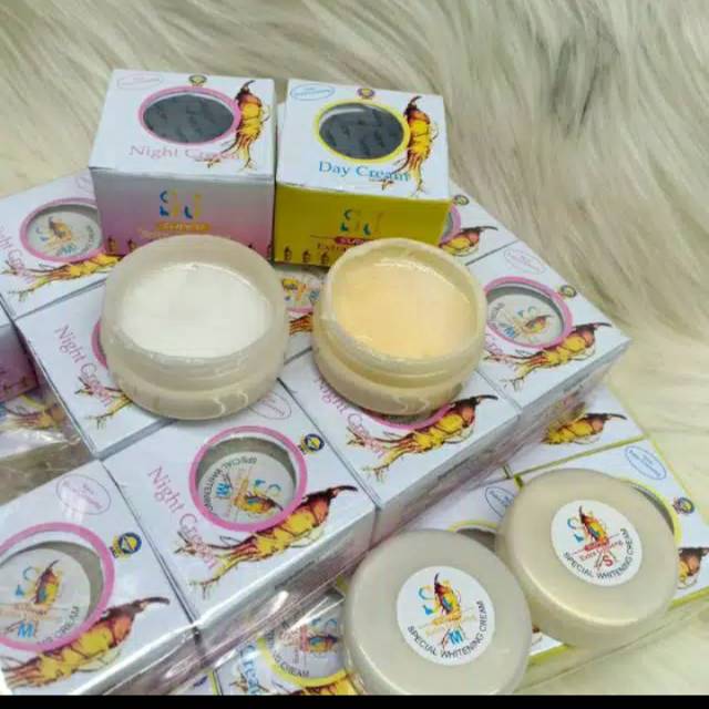 Cream SJ Gingseng Segel