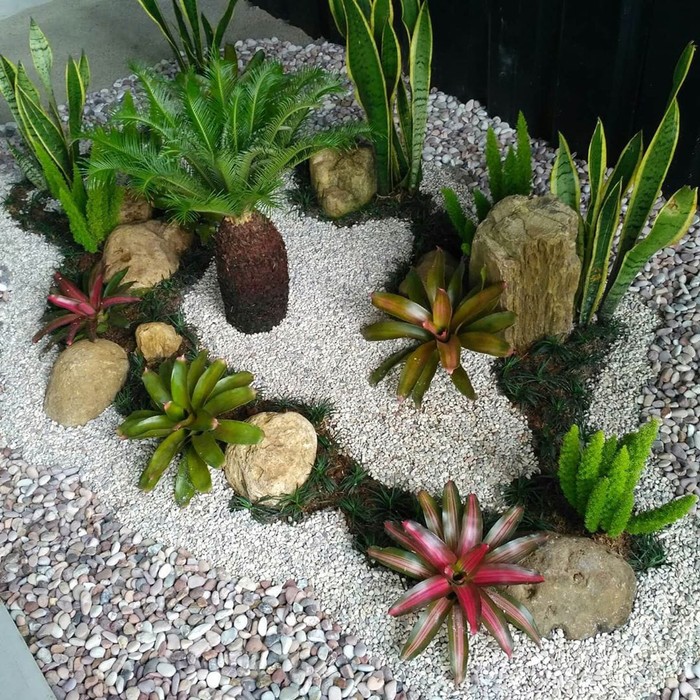 jasa pembuatan taman kering / batu koral italy