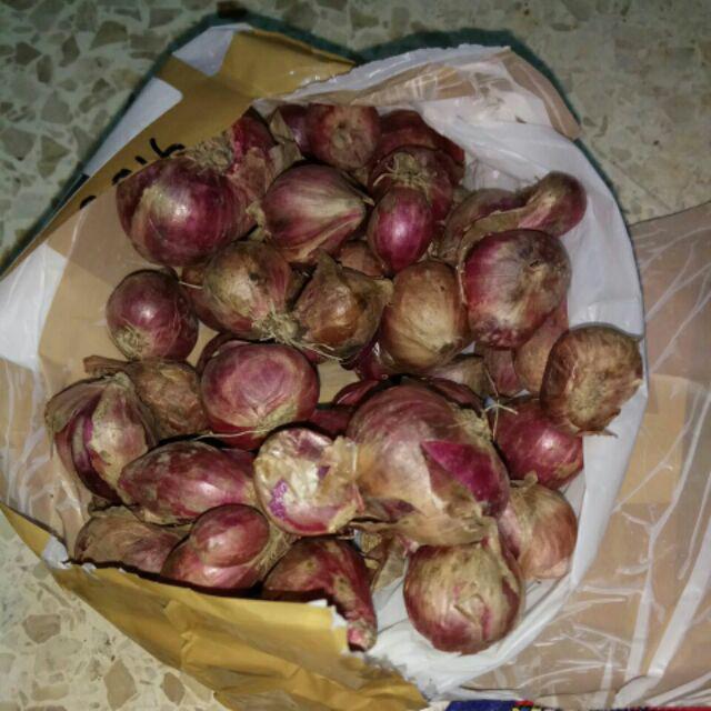 Bawang Merah 250gr