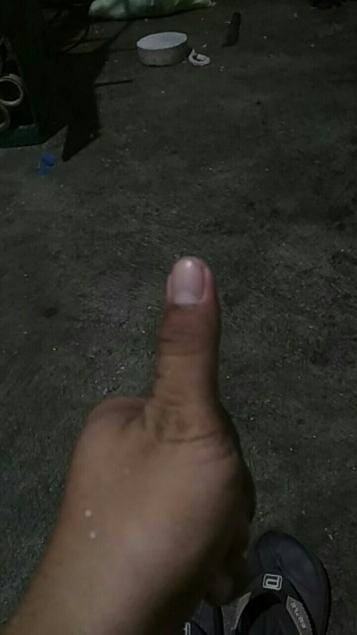 Working Gloves 8b Green - Sarung Tangan Kerja Industri Benang 8 Hijau