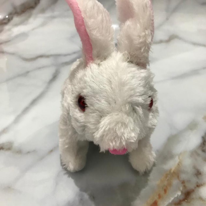 Hot Sale Mainan Boneka Dogy / Kelinci / Beruang Bisa Berbicara Mainan Bayi Terlaris