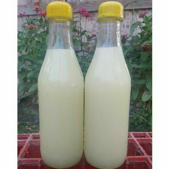 

[COD] MADU PUTIH/ ROYAL JELLY ASLI HUTAN BADUY 340 ML