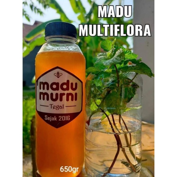 

Madu Murni Multiflora 650gram