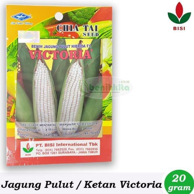 (Terlaris) New Benih Bibit Jagung Pulut Ketan Victoria F1 Bisi 