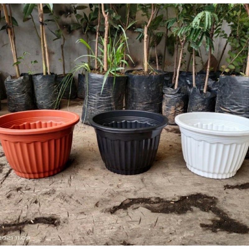 Pot gantung putih, pot pumba 20 putih, pot gantung 1 set gantungan