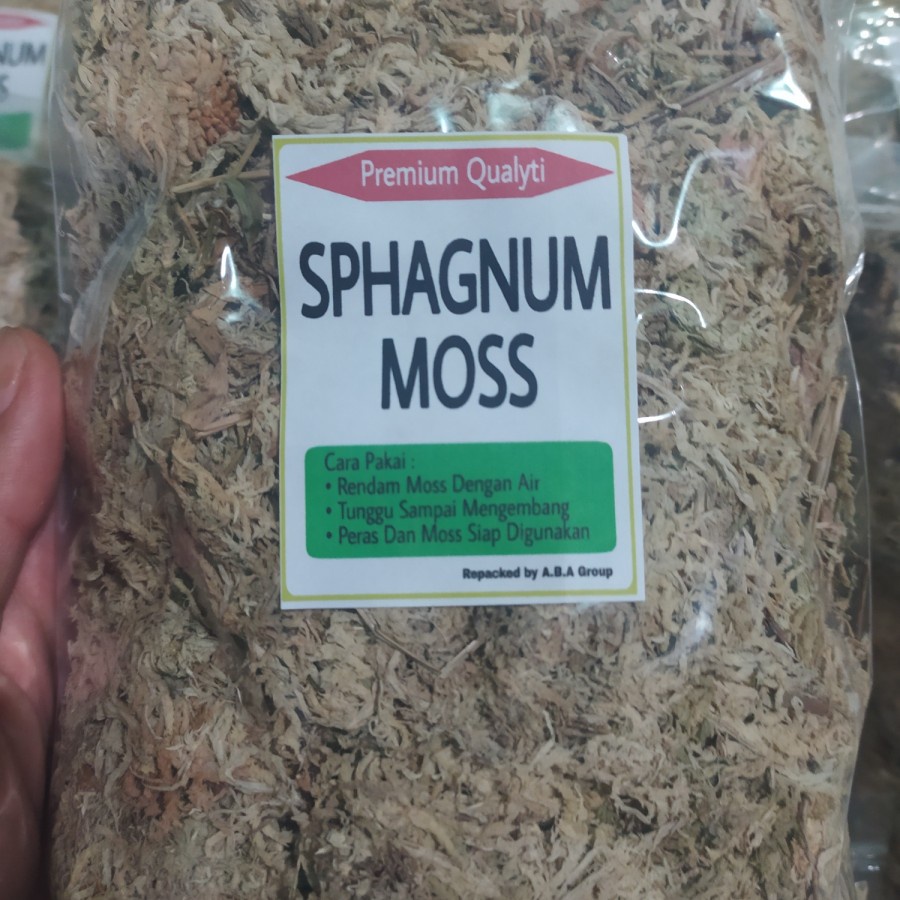 Spagnumm moss putih premium chili original- spagnum moss -carnivora pl