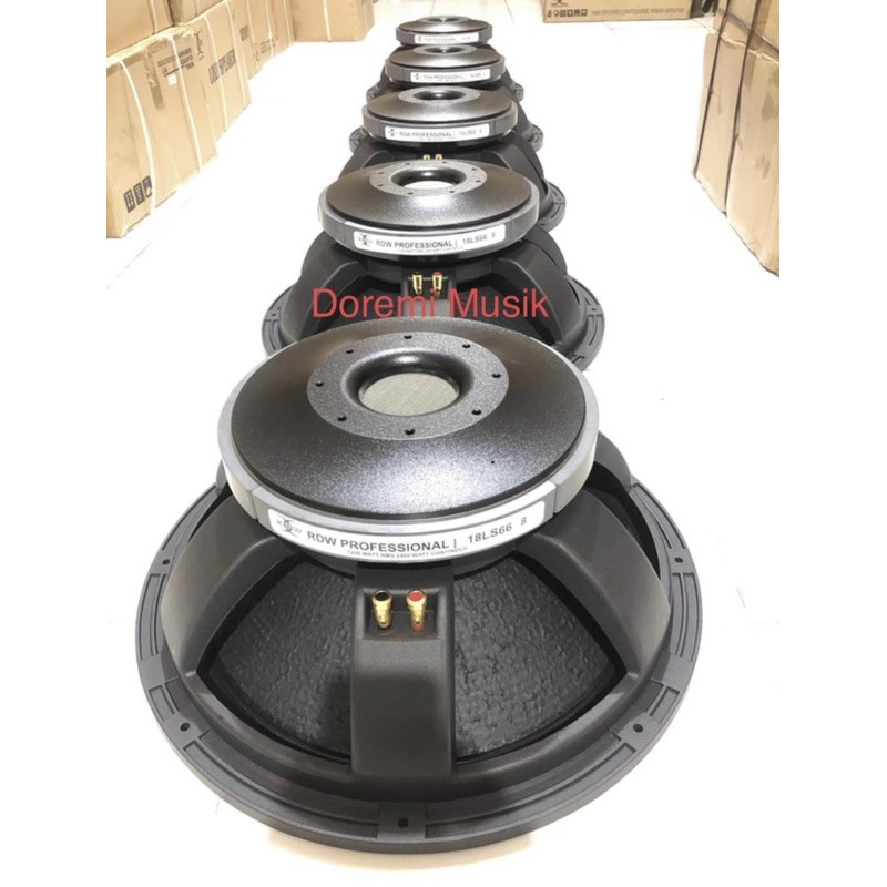 Speaker RDW 18 inch LS 66 S Original