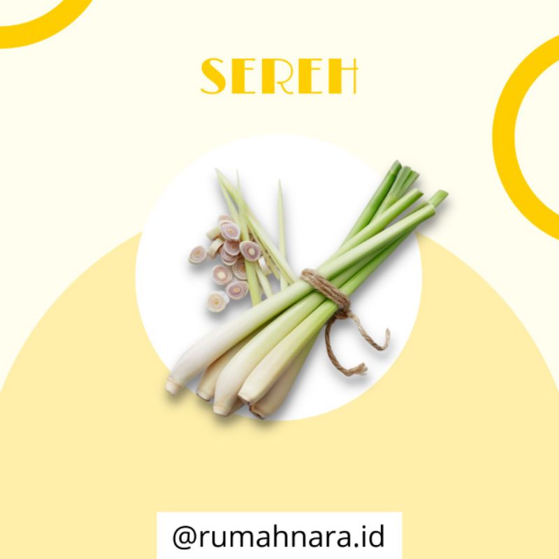 

Sereh / Serai - 1 Ikat