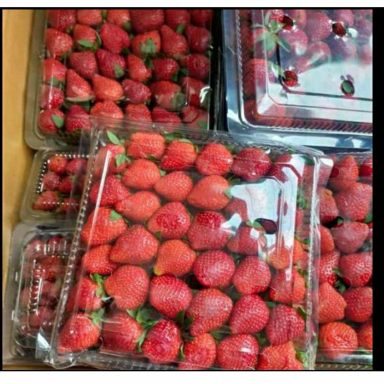 

Strawberry 1 Pack Besar