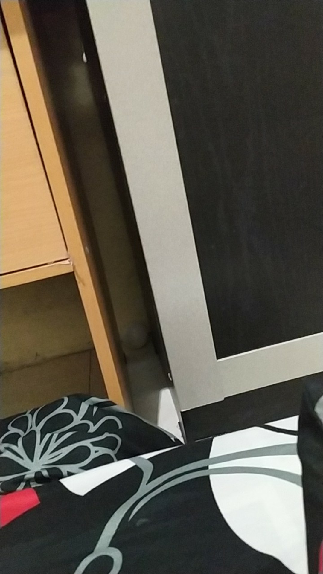 Aganol Antibacterial Floor Cleaner Morning Fresh With Lemongrass 630 Ml