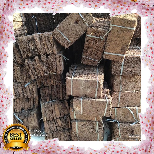 PAPAN PAKIS AKAR PAKIS MEDIA TANAM MEDIA ANGGREK