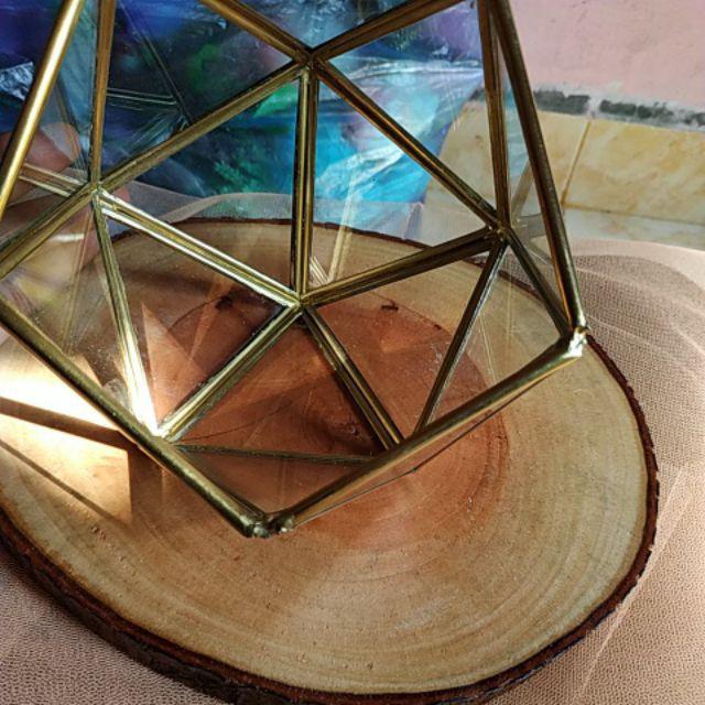 Satu Set Tempat Cincin Terrarium/ Tatakan Kayu / Ring Box Sangakar Burung