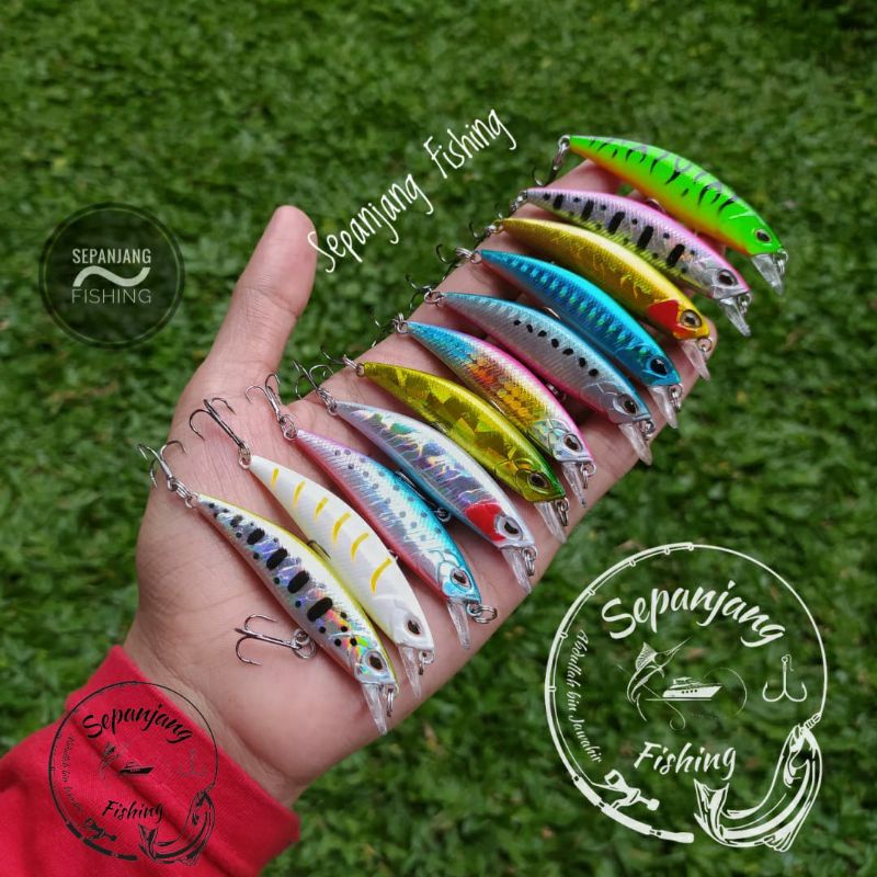 Minnow sinking 6,7cm ~ 5 gram / 4 gram ~ Replika Duo Ryuki ~ Sepanjang Fishing