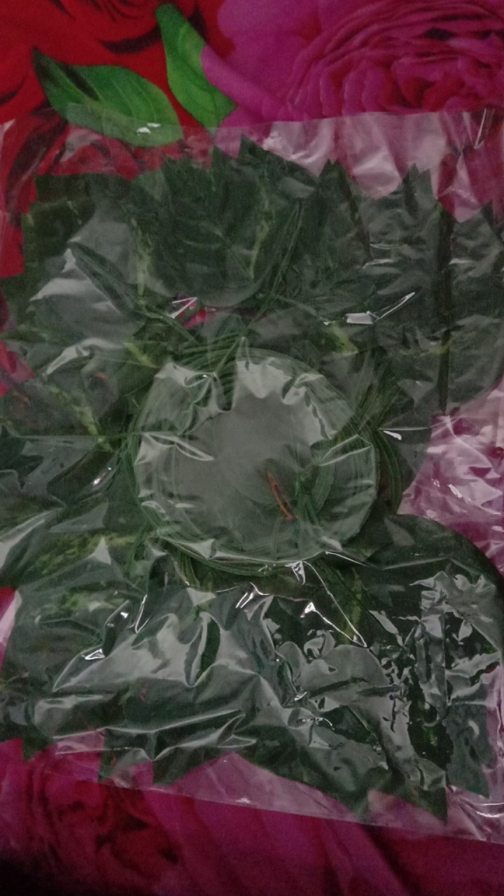 Dau  Rambat / Daun Artificial / Pagar Rambat / Dekor Rumah # Shabby Chic