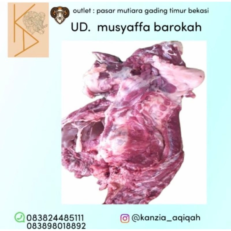 daging kambing segar