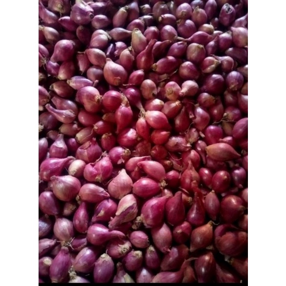 

bawang merah lokal 1 kg ready langsung kirim