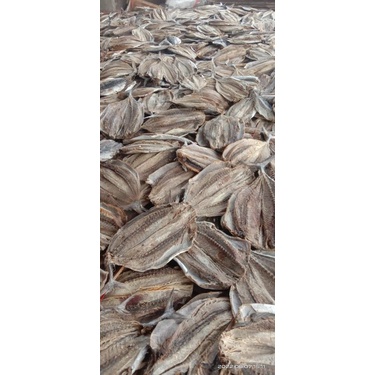 

ikan asin tongkol