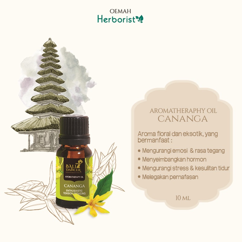 HERBORIST Bali Dancer Aromatherapy Oil Diffuser 10ml | Essential Difuser-7