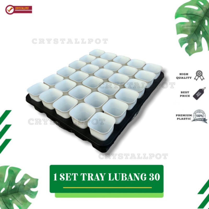 1 SET TRAY LUBANG 30 + POT NKT KOTAK 5CM PUTIH 30 PCS | TRAY SEMAI BIBIT