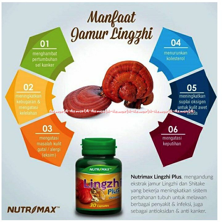 Nutrimax Lingzhi Plus 30 capsules Vitamin Daya Tahan Tubuh