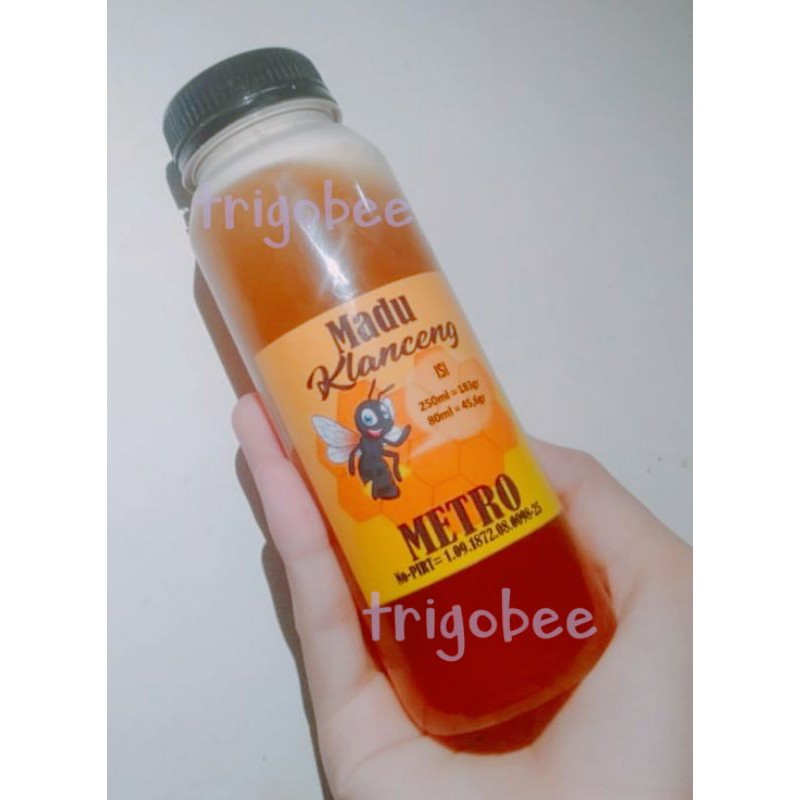 

madu klanceng asli 250 ml