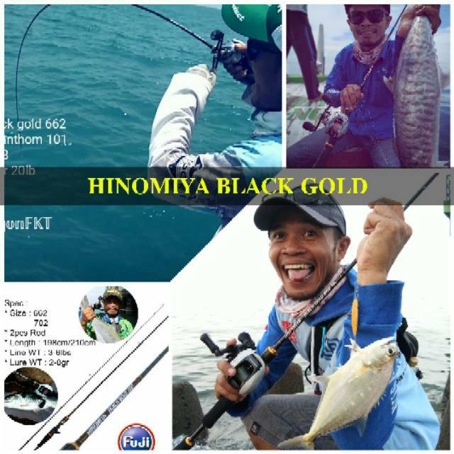 Hinomiya Black Gold 662UL