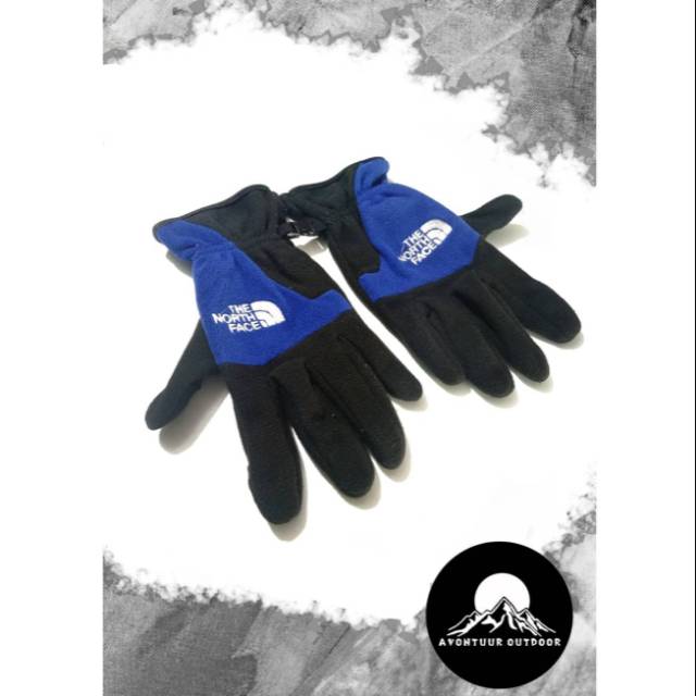 Sarung tangan Polar TNF