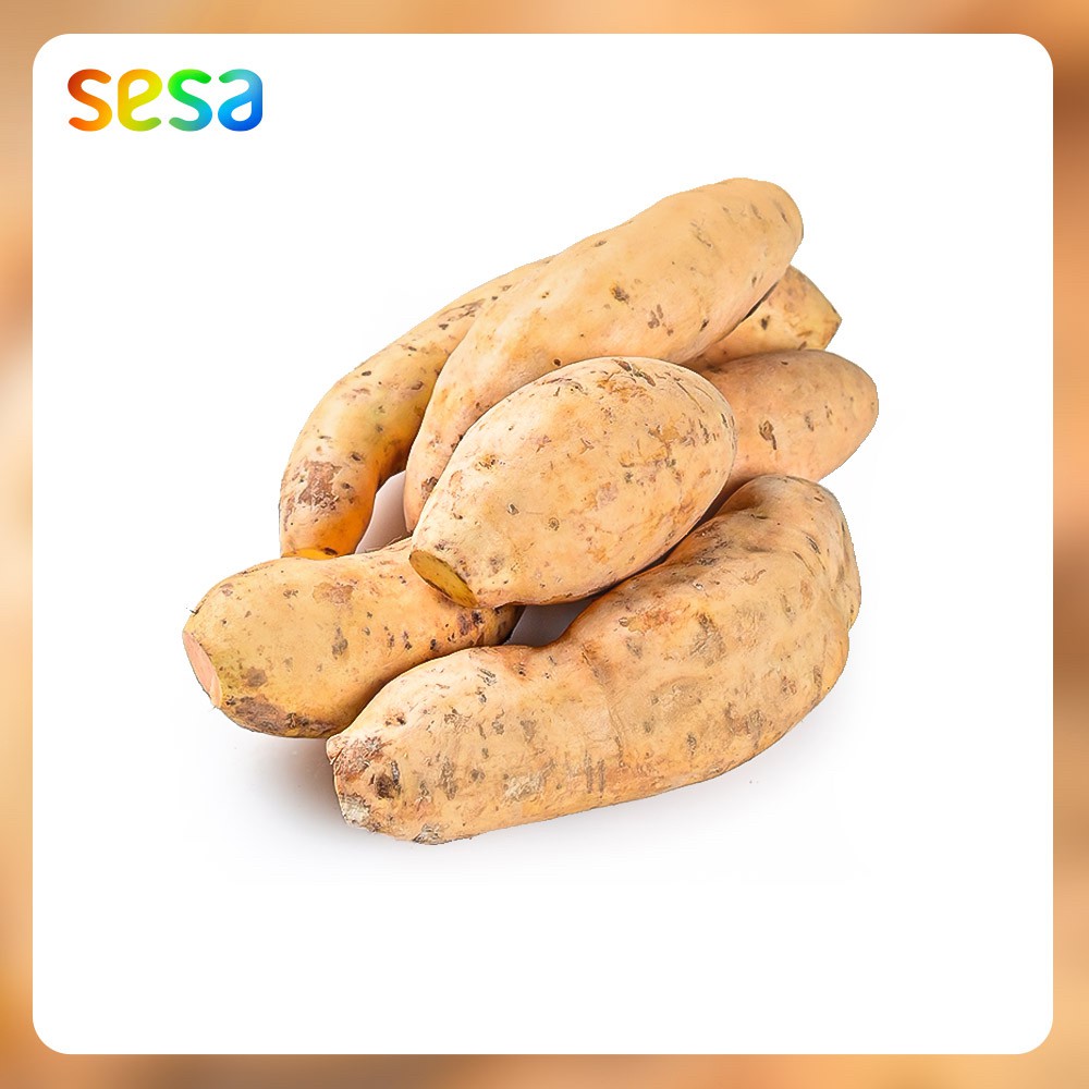 

UBI Cilembu Organik 0.9 - 1kg/Pack - Sayuran Umbi-Umbian