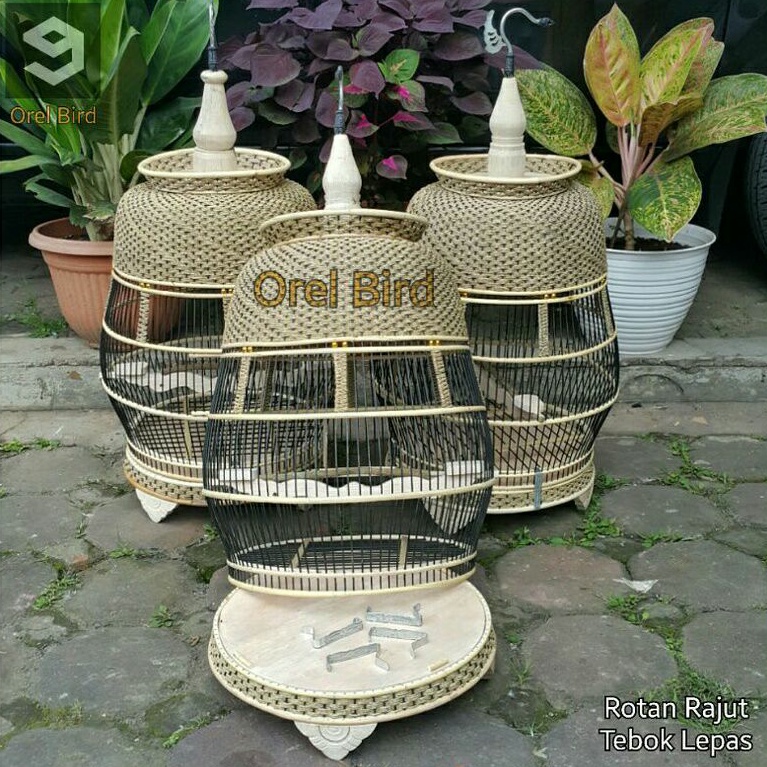 Sangkar Perkutut rotan rajut (Jambu).