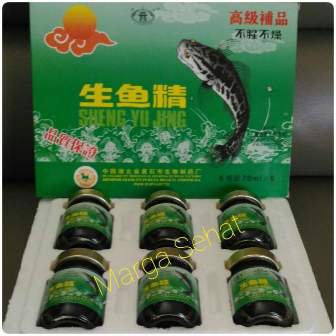 SHENG YU JING/EKSTRAK IKAN KUTUK CAIR/IKAN GABUS/ALBUMIN/LUKA OPERASI