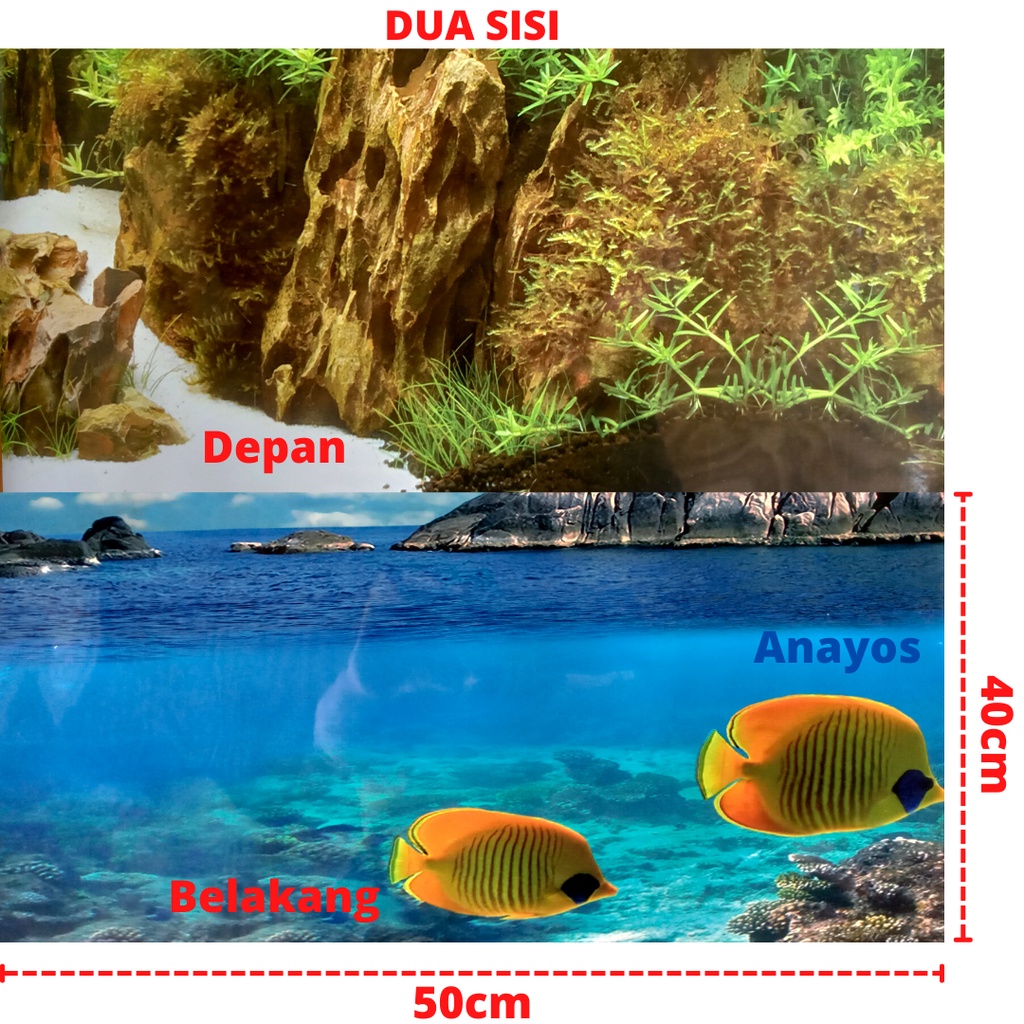 Wallpaper Background Aquarium Tinggi 40 Cm Panjang 50 Cm Motif 09