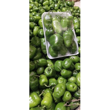 

cabe gendot fres cabai bendot\cabai gembor\cabai\cabai fress\cabai pedas\cabai aakan\cabai murah