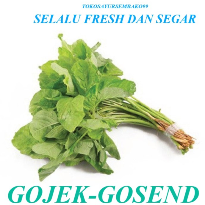 

Sayur Bayam Segar Fresh Satu 1 Ikat Surabaya