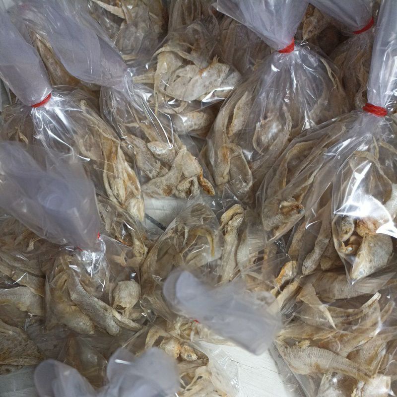 

IKAN ASIN BULU AYAM