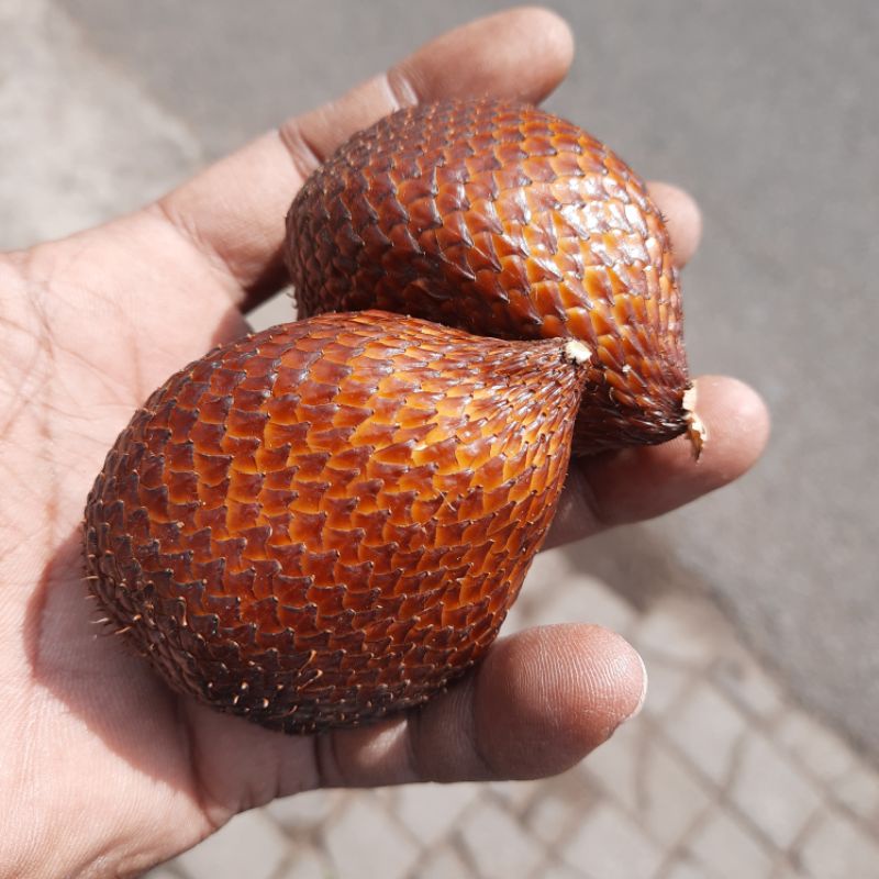 

salak pondoh 1kg