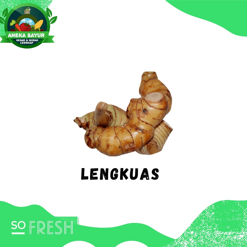 

Lengkuas